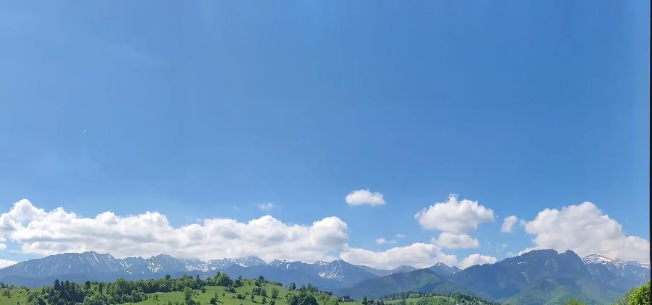 Gasienica Apartamenty Queen Zakopane 0*,